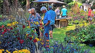 Drei Tage lang gastiert die Diga-Gartenmesse mit ihrem großen Angebot im Bad Säckinger Schlosspark.