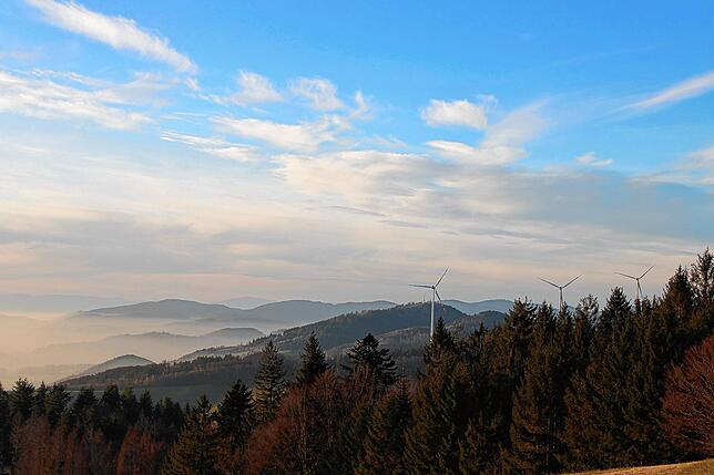 Blick vom Jägerstüble über den Nebel im Rheintal hinweg nach Westen.