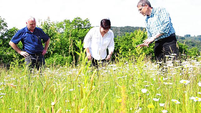 Gelungene Ausgleichsmaßnahme: Umweltreferent Ralf Däubler (rechts) erklärt dem Technischen Leiter der Firma Grieshaber, Gerhard Fricker ...