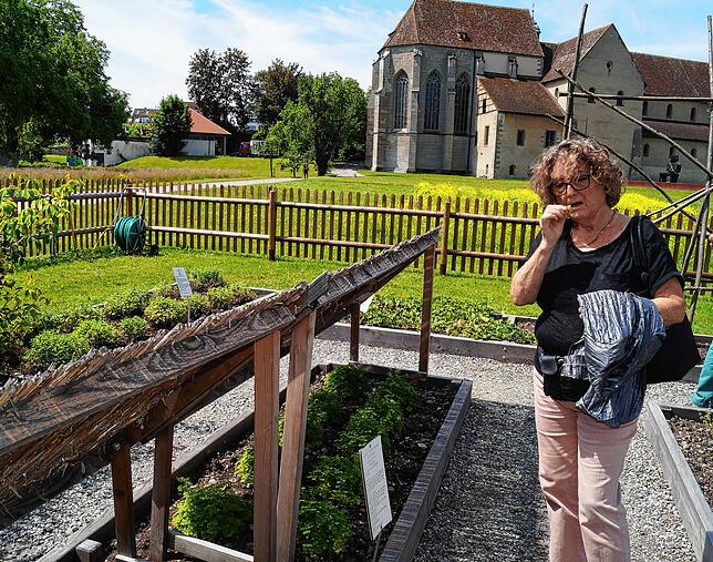 Ein Muss für den Gartenfan ist der Klostergarten beim Münster.