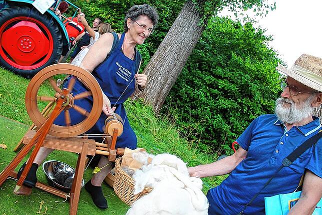 Bild 11: Tausende Besucher an der Bohlinger Sichelhenke
