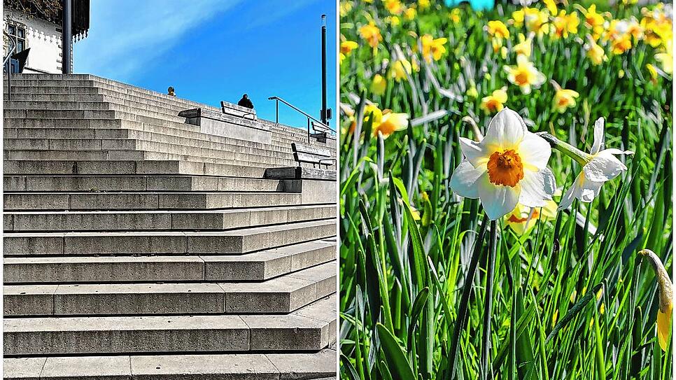 Bild : Zwischen Betonwüste und Blütenmeer &ndash; Wo finden Konstanzer eigentlich den Frühling in der Stadt?