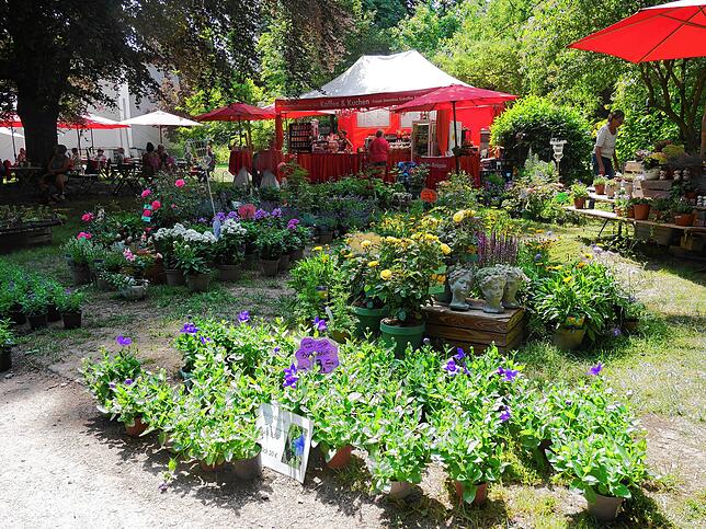 Impressionen von der Gartenlust-Ausstellung im Park von Schloss Schönau