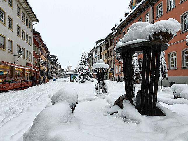 Bild 14: Es hört nicht auf zu schneien: Waldshut versinkt im Schnee