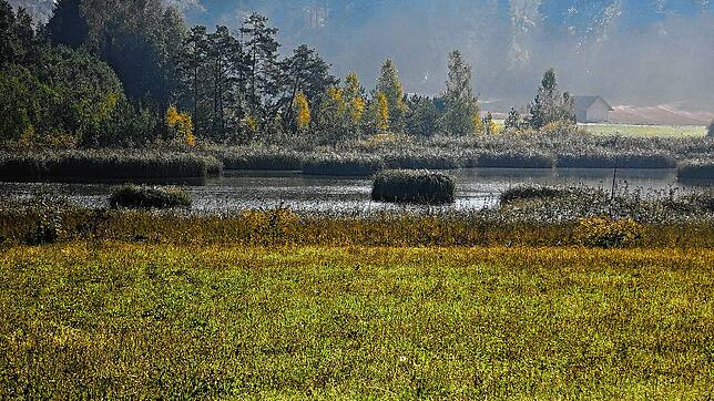 Der Barchetsee ist seit 1991 ein Naturreservat.