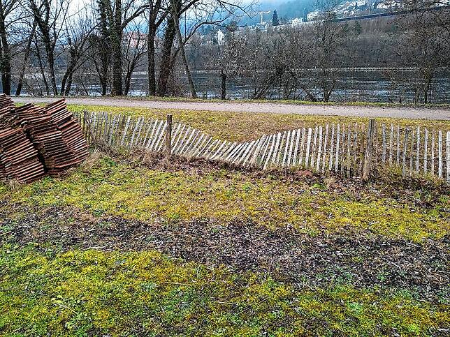 Auch der Naturzaun des Gemeinschaftsgartens des Vereins Stadtoasen wurde mutwillig zerstört.