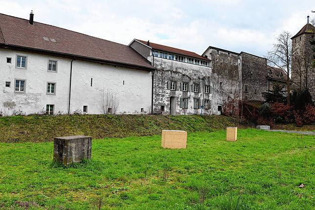 Dora Freiermuth hat an der Stadtmauer zwei Hochbeete aufgestellt, in denen die Bananenschalen dem Zerfall ausgesetzt sind. Dieses Werk ...