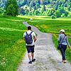 Tiefe Wälder, bunte Frühlingswiesen &ndash; der Südschwarzwald ist ein Wanderparadies, das schätzen auch Urlauber (Archivbild).