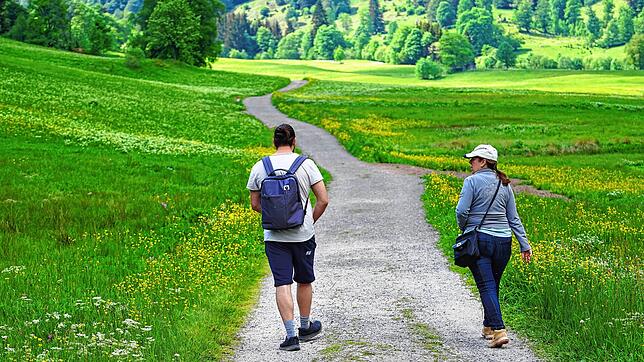 Tiefe Wälder, bunte Frühlingswiesen &ndash; der Südschwarzwald ist ein Wanderparadies, das schätzen auch Urlauber (Archivbild).