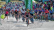 Start frei in Remetschwiel: Die Vorbereitungen des VBC Waldshut-Tiengen für den 19. Waldhaus Bike-Marathon am Sonntag sind so gut wie ...