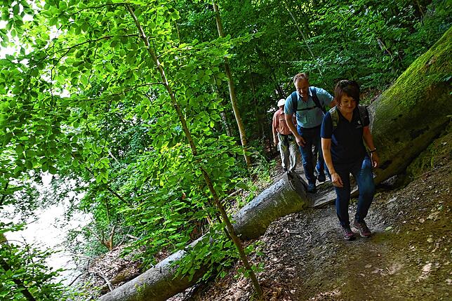 Der Burghof vom Wanderweg aus.