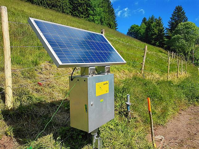 Die Abwehrzäune gegen den Wolf stehen unter Strom. Das Bild zeigt eine Abzäunung mit einem Akku, der mit einem Solarmodul geladen wird.