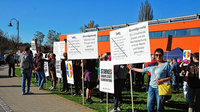 Die Mitglieder des Bündnisses „Demokratie stärken“ protestierten mit Plakaten gegen die AfD, auf denen sie zeigten, wie Aussagen von ...