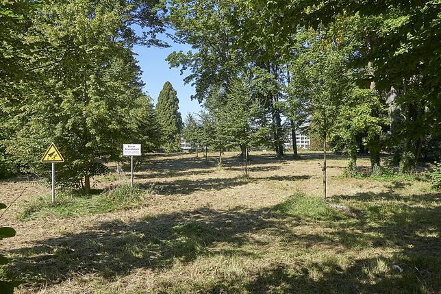 Die ersten Arbeiten im Büdingen-Park sind bereits erkennbar, hier eine Ansicht von der Seestraße aus.