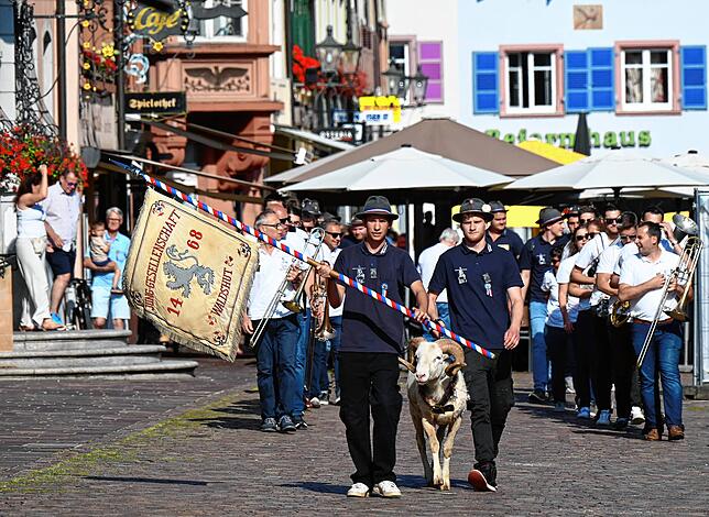 Begleitet mit dem Chilbimarsch führten zwei Junggesellen den prächtigen Schafbock zur Bocktaufe am Metzgertörle. Dort wurden sie von ...