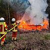Bild :