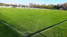 Frisch gemäht präsentiert sich der Rasenplatz des FC Hüfingen. Der Verein möchte einen Kunstrasenplatz.