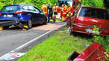 Die Freiwillige Feuerwehr rückte aus Daisendorf, aus Meersburg und aus Uhldingen-Mühlhofen an.