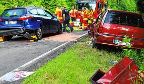 Die Freiwillige Feuerwehr rückte aus Daisendorf, aus Meersburg und aus Uhldingen-Mühlhofen an.