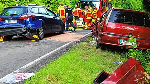 Die Freiwillige Feuerwehr rückte aus Daisendorf, aus Meersburg und aus Uhldingen-Mühlhofen an.
