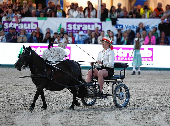 Bild 11: Zwischen Adrenalin und Tradition: Der spektakuläre Showabend beim Fest der Pferde auf den Immenhöfen