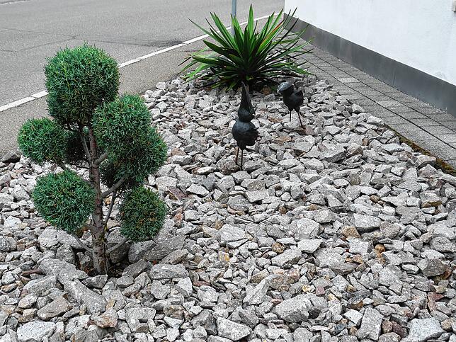 Hier könnten eigentlich Blumen auf einem Stückchen wertvoller Erde blühen. Die sogenannten Schottergärten haben sich in den vergangenen ...