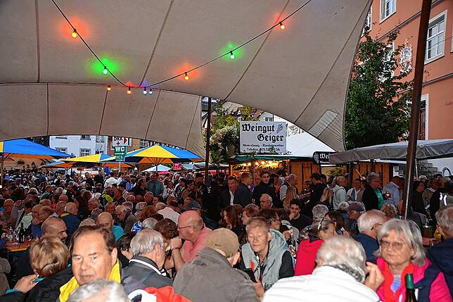Bild 11: Die schönsten Bilder vom Weinfest in Meersburg 2025