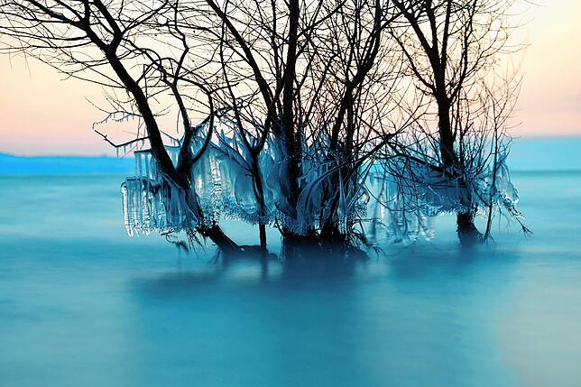 Der Frost und der Ostwind sorgten für bizzare Eisskulpturen am Bodenseeufer – hier zwischen Hörnle und Wasserwerk.