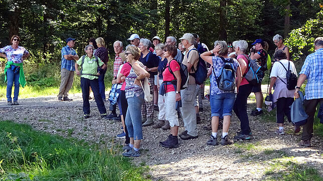Unterwegs gibt Wanderführerin Monika Recktenwald (Dritte von links) immer wieder Informationen über die abwechslungsreiche Landschaft. ...