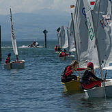 Im Opti-Trainingslager üben Jugendliche aus ganz Baden-Württemberg und Bayern in Immenstaad das Segeln.