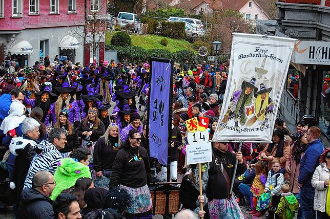 60 Zünfte, Guggenmusiken und Hästräger gaben sich am Sonntag beim großen grenzüberschreitenden Fasnachtsumzug die Ehre und kamen nach ...
