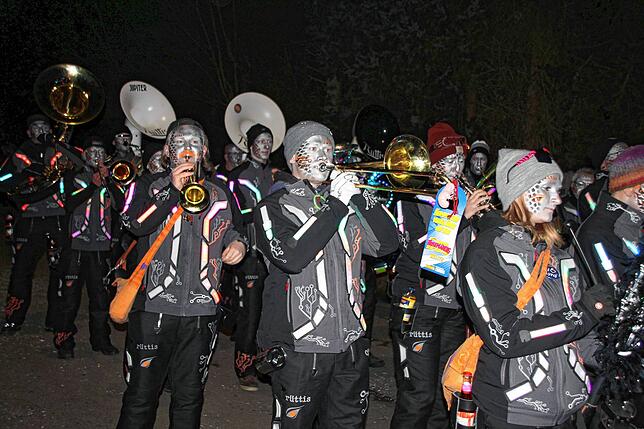 Bild 4: Bilder vom Nachtumzug beim Kleggau-Narrentreffen am Samstag