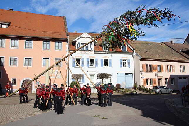 22,2 Meter lang war der Narrenbaum, den die 16&nbsp;Zäche erst von der Bahnhofstraße durch die Stadt zum Rathaus gezogen und ...
