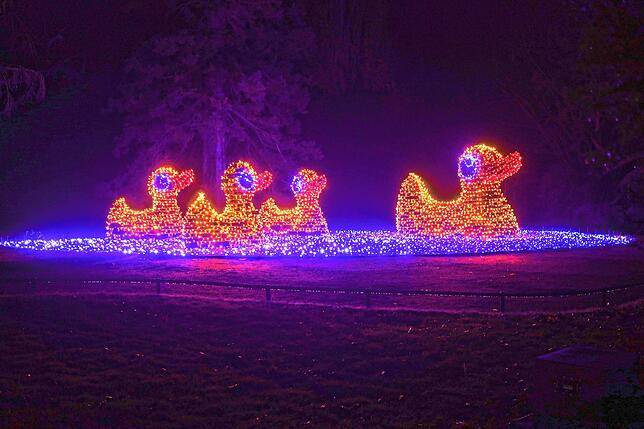 Bild 9: Insel Mainau: Bilder vom Start des Christmas Garden 2023 - Teil 1