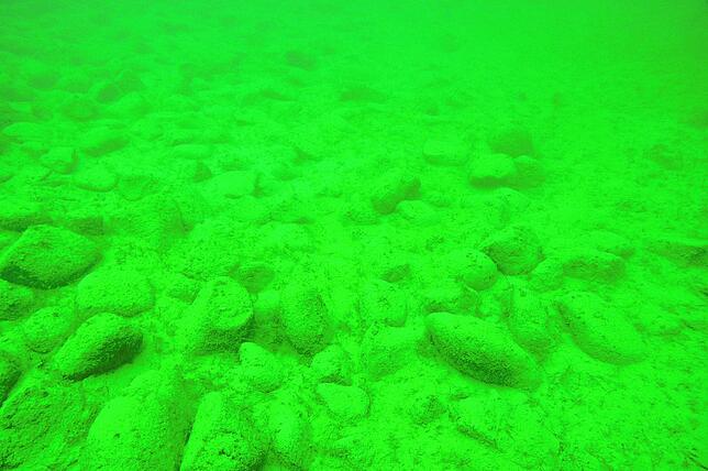 Eine Unterwasseraufnahme eines der 170 Steinhügel vor Uttwil aus dem Jahr 2016.