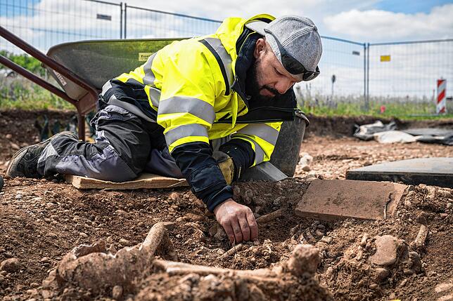 Ein Mitarbeiter des Landesamts für Denkmalpflege legt auf dem Grabungsfeld unweit des Bodensee-Ufers Knochen Hingerichteter frei.