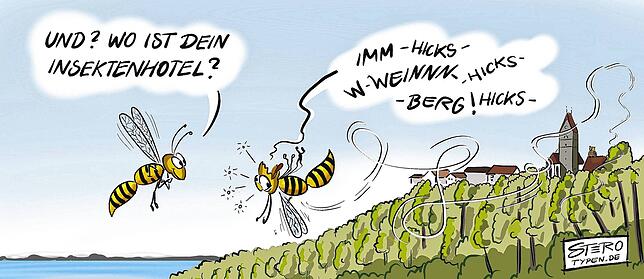 Bild 4: Karikatur der Woche: Überlingen hat sie jetzt, die Halle für jeden Sport und alle Bälle