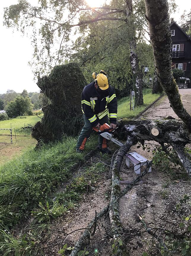 Die Feuerwehr musste am späten Sonntagnachmittag in Ludwigshafen einen umgestürzten Baum beim evangelischen Jugendheim zersägen, der in ...
