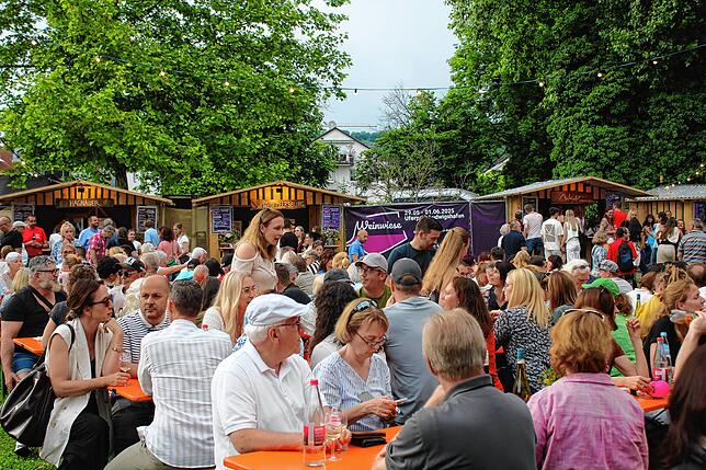 Bild 11: Erste Weinwiese in Ludwigshafen
