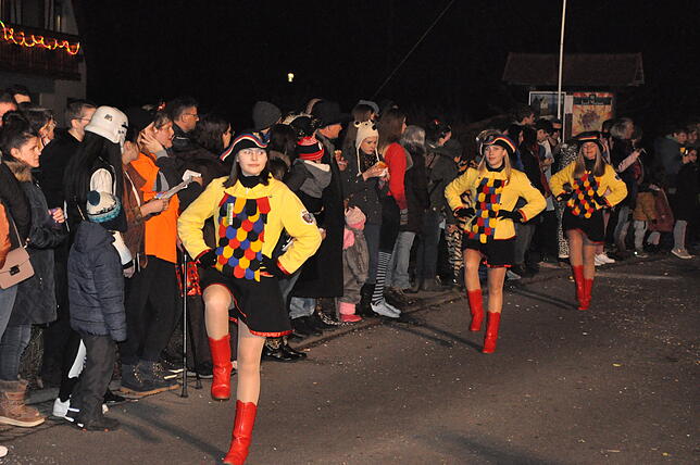 Bild 34: Bilder vom 16. Nachtumzug des Narrenverein Moschtobst in Ahausen