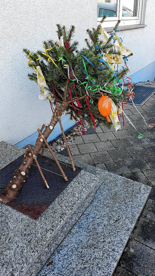 Ralf und Claudia Nell wissen, dass es eigentlich noch zu früh ist für einen Narrenbaum. Sie berichten: &bdquo;Bei uns haben sich die ...