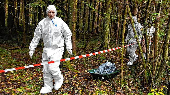 Mit einer speziellen Bergungswanne werden die Wildschweinkadaver bei der Übung aus dem unwegsamen Gelände geschafft.