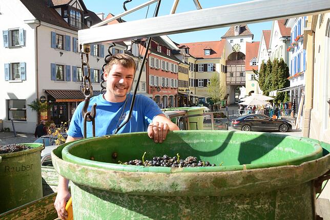 Die Anlieferung der Trauben beim Winzerverein in der Unterstadt, die hier Stefan Warnkönig beaufsichtigt, ist eine Touristenattraktion, ...