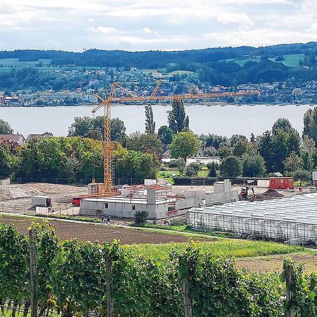 Der Bau der neuen Produktionshalle am Eichenweg unterhalb der Hochwart ist laut Winzerverein im Zeitplan. Ziel sei es, bereits in einem ...