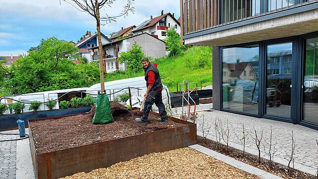 Mattis Wetzer und seine Kollegen von Steidle Gartenanlagen stellen die Flächen bei den Häusern am Hang fertig und pflanzen Bäume und Büsche.