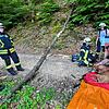 Die Feuerwehr und Tierrettung betreuen Hündin Mali, die von einem Baum getroffen wurde. Bild: Feuerwehr Bodman-Ludwigshafen