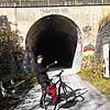 Der Autunnel auf der ehemaligen Heubergbahnstrecke, gebaut 1922, ist für Radfahrer saniert worden. Hier geht es mitten hinein nach ...