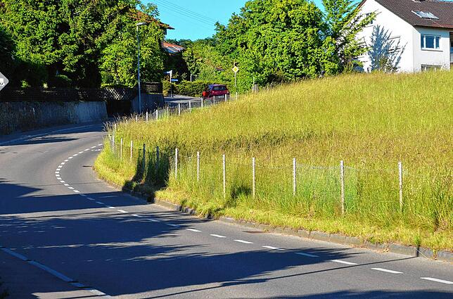 Für das neue Wohngebiet oberhalb der Innenstadt wird es vermutlich einen Fußweg entlang der Gehrenbergstraße geben.