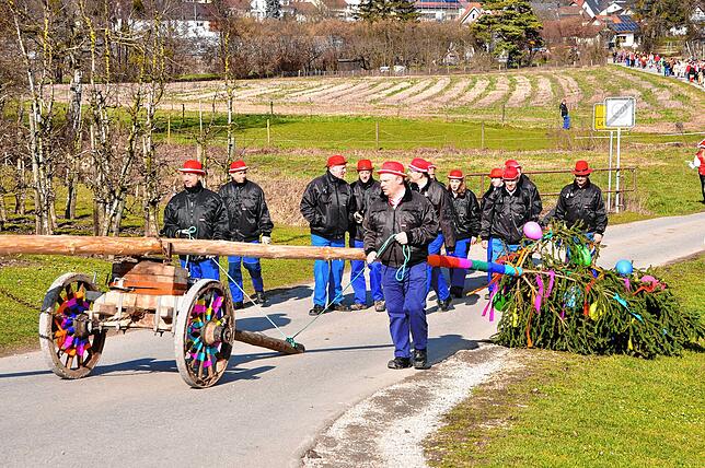 Bild 29: Narren bekunden ihre Macht durch Narrenbaumsetzen