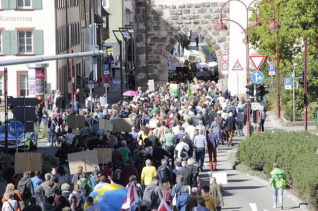 Bild 16: Bilder von der Fridays for Future-Demonstration in Villingen